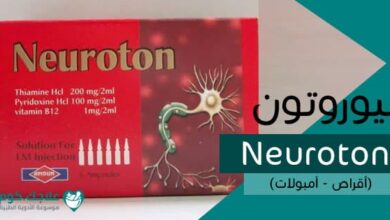 نيوروتون Neuron