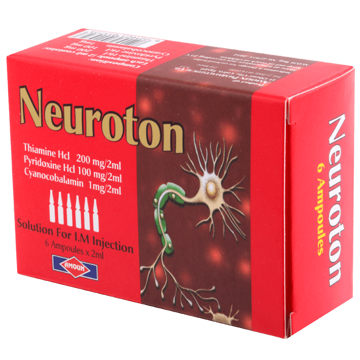 neuroton