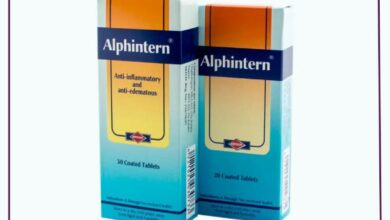 ألفينترن - Alphintern